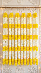 1199 Rs. 6 piece 2
