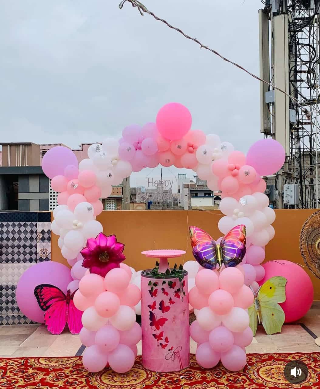 Butterfly Theme Decor