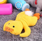 Duck bottle holder lifestyle photo
