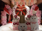 Kitty Cat Theme Birthday Decoration – Pink & White Balloon Arch with Cat Cutouts