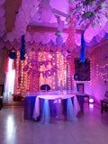 Lavender & Purple Birthday Decoration – Fairy Light Curtain, Photo Wall & Milestone Board